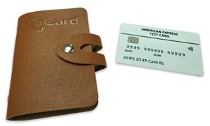 Q-Card American Express